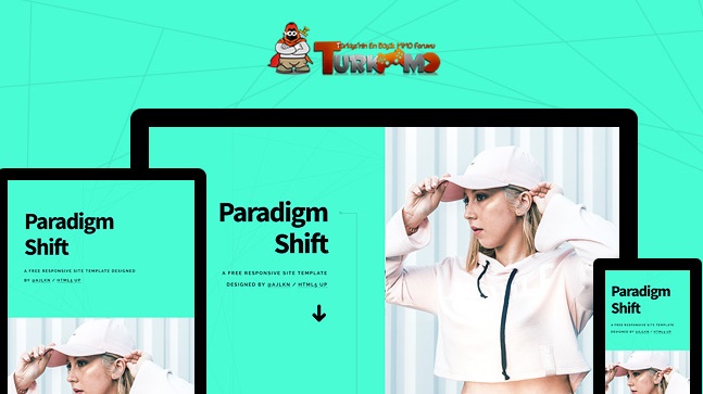 paradigm-shift-turkmmo.jpg