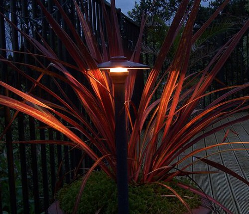 Get the best moonscape lights from gardenlights.co.nz. We provide long-lasting and energy-efficient LED lamps to bring extra glance and ambiance to all your outdoor gatherings. Visit our site for more details.


https://gardenlights.co.nz/