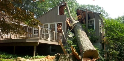 Baltimore tree discount is a leading tree service in Maryland since 15 years. We can help you with any tree removal in Baltimore County & surrounding areas.

https://baltimoretreediscountservice.com/