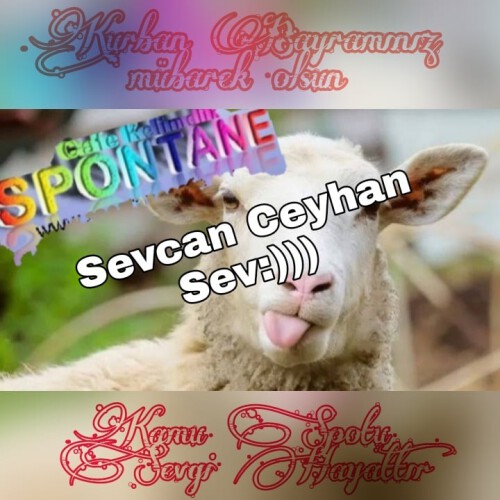 Sevcan