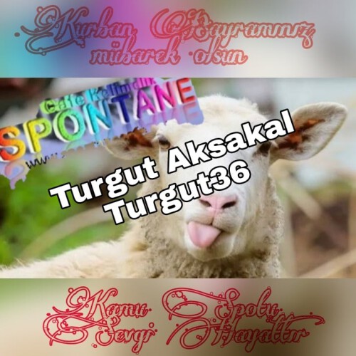 Turgut