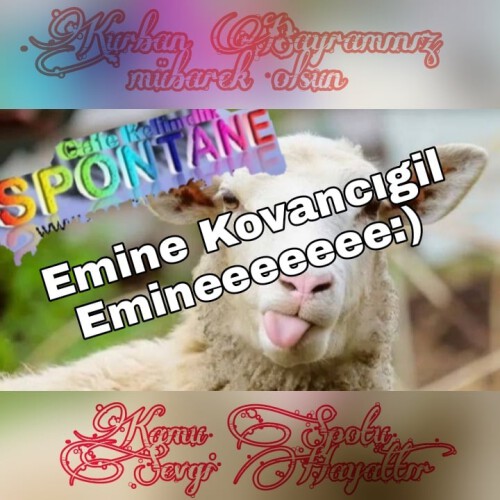 Emine