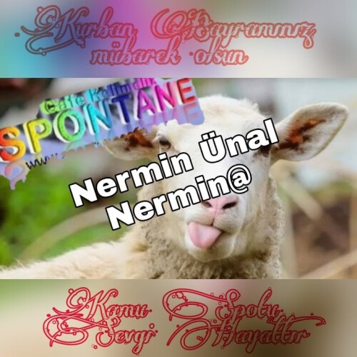 Nermin.jpg