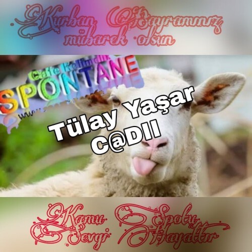 Tülay