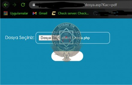 imagef06805de9ceca212.png