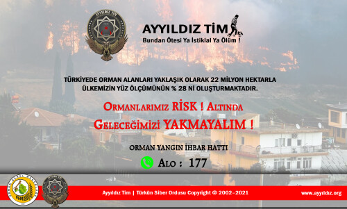 OrmanYanginif7c1c86d5bc36102.jpg