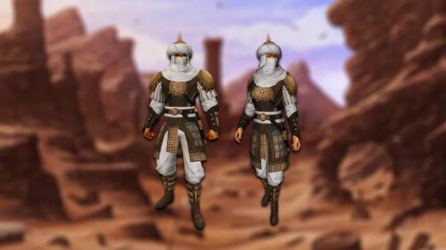 costumes_desert_bandit2.jpg