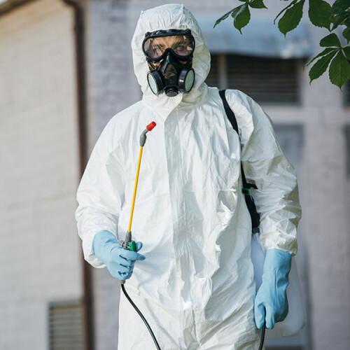 Disinfection-Sterilization.jpg