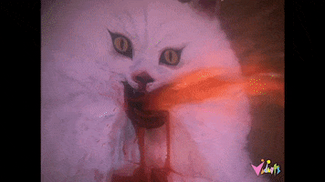 A4079D63-D445-4923-90BE-C5A1A7CEEB0E.gif