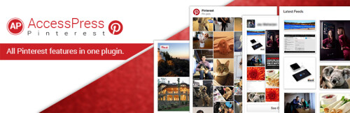 AccessPress-Pinterest-Best-Free-WordPress-Pinterest-Plugin.jpg