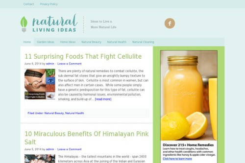 naturallivingideas.com.jpg