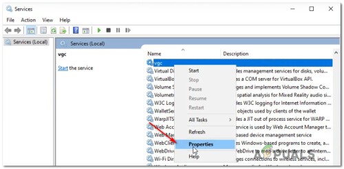 accessing-the-vgs-services.jpg