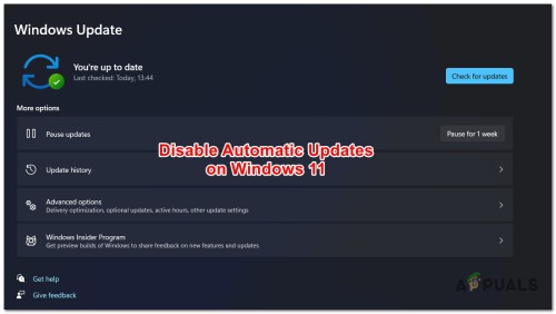 How-To-Disable-Automatic-Updates-On-Windows-11.jpg