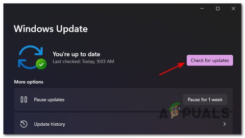check-for-updates-Windows-11.jpg