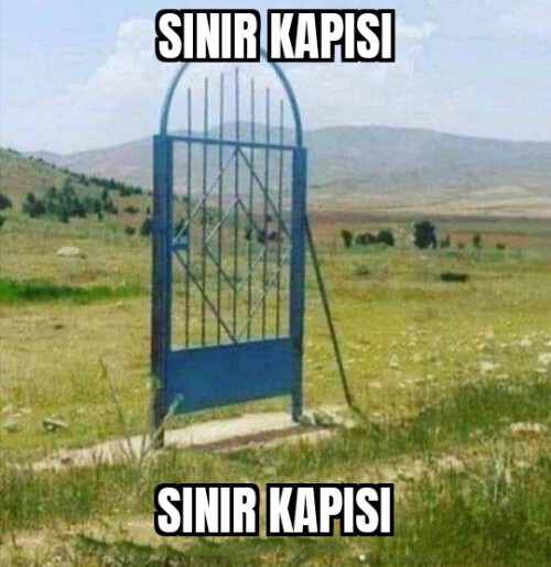 do9gg9w7s2h71.jpg