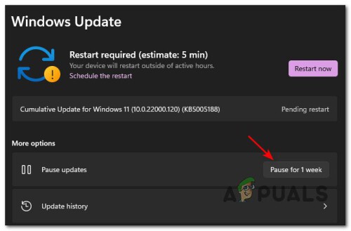 pausing-the-updates.jpg