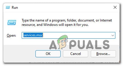 services-screen-2.jpg