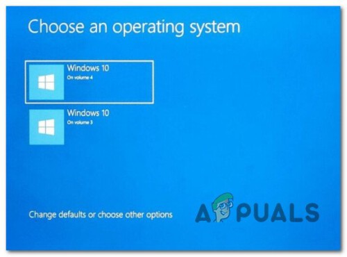 which-is-windows-11.jpg