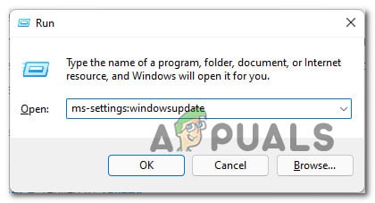 windows-update.jpg