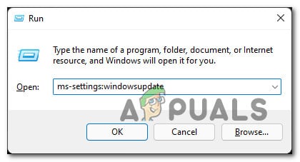 windowsupdate.jpg