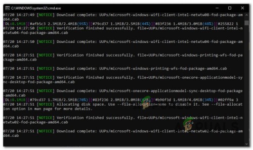 downloading-the-windows-11-filess.jpg
