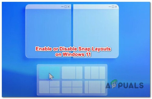 enable-or-disable-snap-layouts-on-Windows-11.jpg