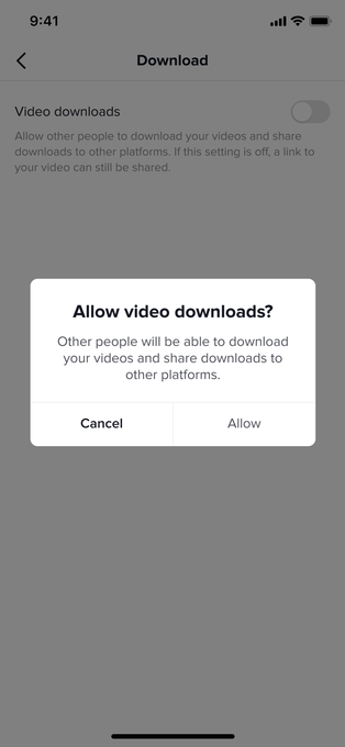 tiktok-downloads-prompt.png