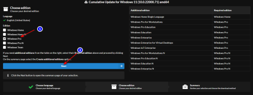 select-the-correct-windows-11.png