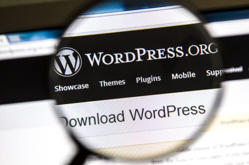 Choose-WordPress-for-Your-Website..jpg