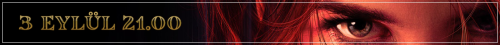 3banner1100x100.png
