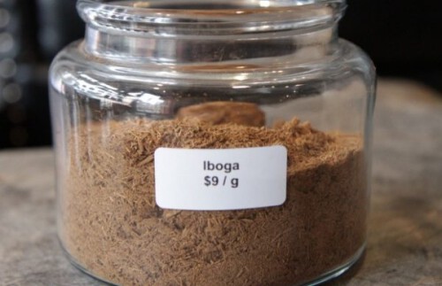 Buy-ibogaine-online.jpg