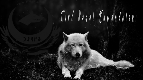 Wolf-Guardian-in-Moon-HD-Wallpaper1-1024x576.png
