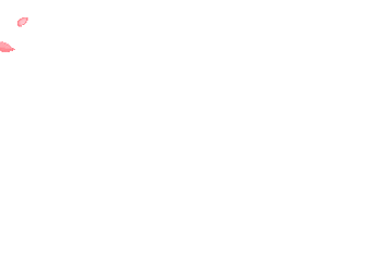 Gif Картинки Без Заднего Фона
