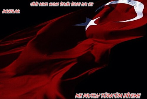 bayrak-1SOBEE.jpg