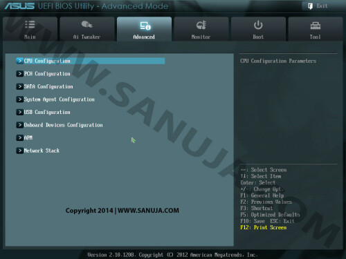 asus_bios_advanced_cpu_config.jpg