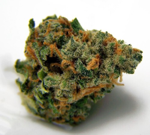 Buy Blue Dream Strain Seeds Online. Blue Dream is a Sativa-dominant marijuana hybrid strain created by crossing Blueberry and Haze. This strain has a well-balanced high, as well as benefits including brain stimulation and full-body relaxation. Because a lack of sleep can lead to serious health issues, discovering ways to improve your sleep can help you live a happier, healthier life. If you're having difficulties sleeping, it's worth experimenting with cannabis to see if it helps. 

Visit Jungle Boys to buy https://jungleboys-dispensary.com/shop/flowers/sativa/blue-dream-strainmin-order-1-oz/