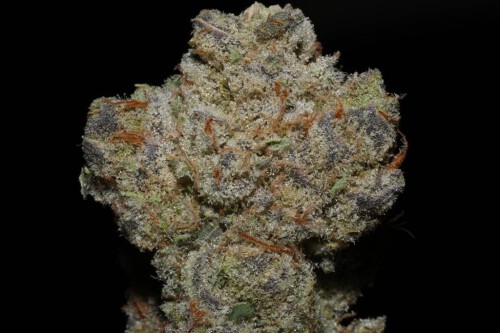 Buy-Banana-Punch-Strain-Online.jpg