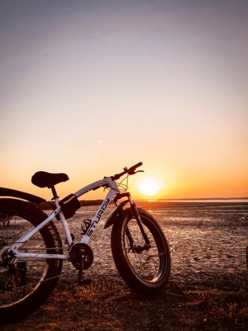 Finding the fat tyre electric cycle in India? The website Sturdybikes.in is a must-visit. We provide electric bikes with fat tyres and alloy wheels to make your cycling experience more enjoyable. For additional information, please visit our website.

https://sturdybikes.in/