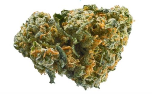 Buy-Ak47-weed-online-510x315.jpg