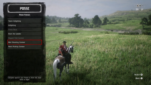 RDR2 Online Bird Shooting Contest 0 25 screenshot