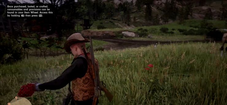 Red-Dead-Redemption-2-yarrow.jpg