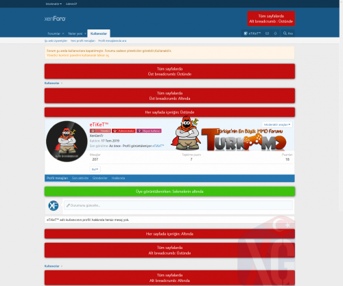 xenforo2_reklam_posizyonlari_kullanici.png