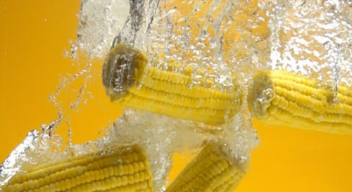 corn-oil1.jpg