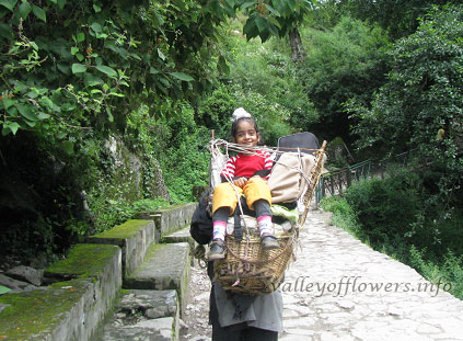 minimum-age-to-visit-Valley-of-Flowers.jpg