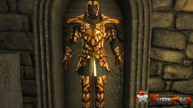 amber-armor-690c8.jpg