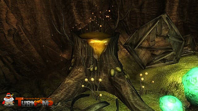 tree-stump-a65e8.jpg