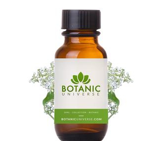 amyris-essential-oil_1_320x.jpg