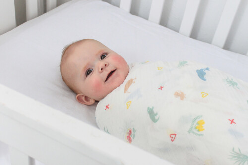 If you want the best Baby Muslin Wraps in New Zealand, Then Fromnzwithlove.co.nz is the right option for you. We provide one of the best Baby Muslin Wraps in New Zealand at an Attractive price. For more information, please visit our website.

https://www.fromnzwithlove.co.nz/kiwiana-muslin/kiwiana-muslin
