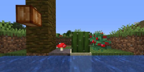 Minecraft-Cocoa-Beans-Mushroom-Cactus-Sweet-Berries.jpg
