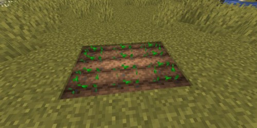 Minecraft Dry Farm
